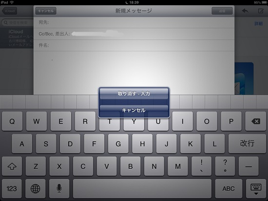 iPad mini torikeshi01
