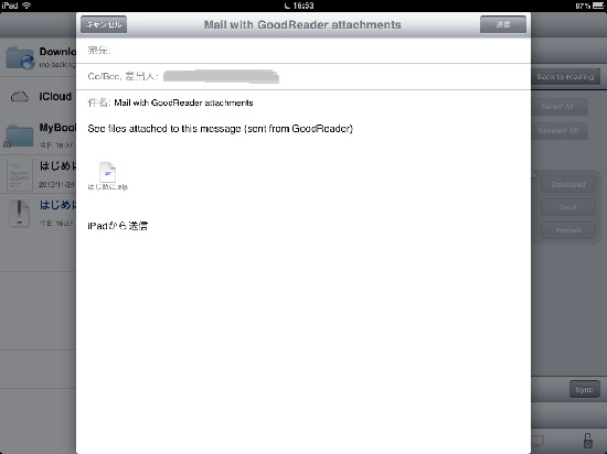 iPad mini zip mail05