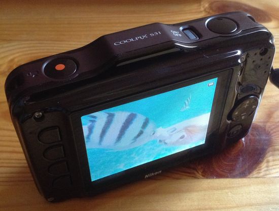 Coolpix S31 photo3 01