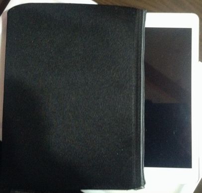 100均 Cushion Case02