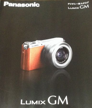 Lumix GM01