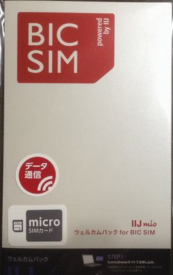 BIC SIM01